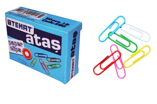 Temat Renkli Ataş 12li